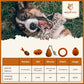 Chewing Toy Robin for Dogs - made from 100% Natural Rubber