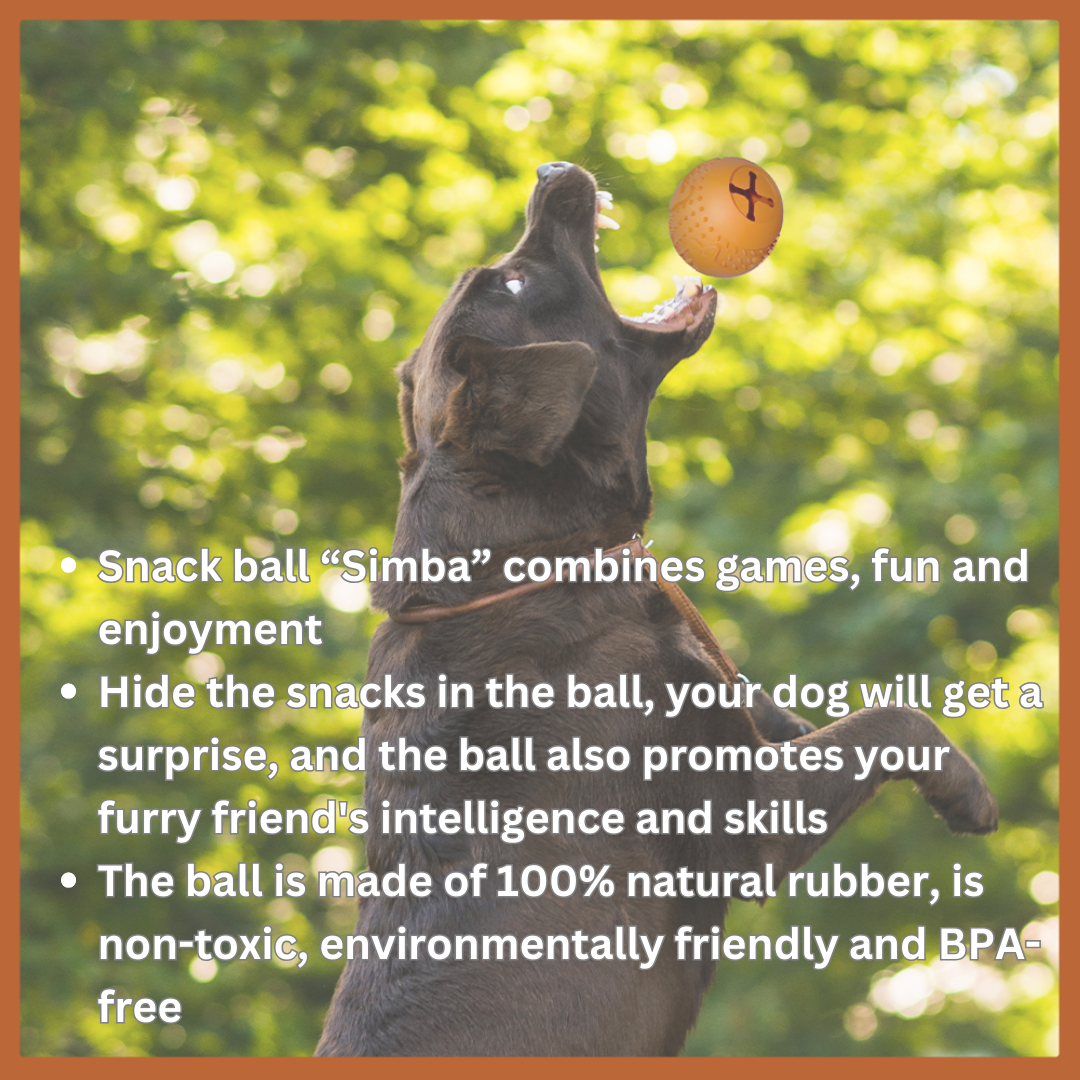 Chewing Toy Simba for Dogs - made from 100% Natural Rubber