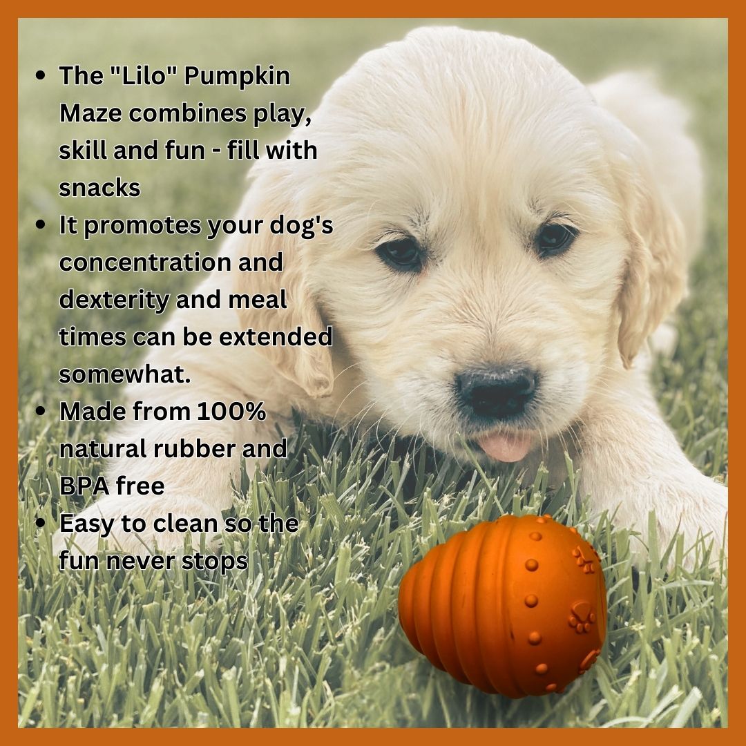 Chew toy pumpkin labyrinth "Lilo" - 100% natural rubber