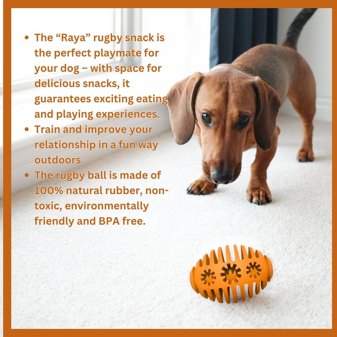 Chew toy Rugbysnacker "Raya" - 100% natural rubber