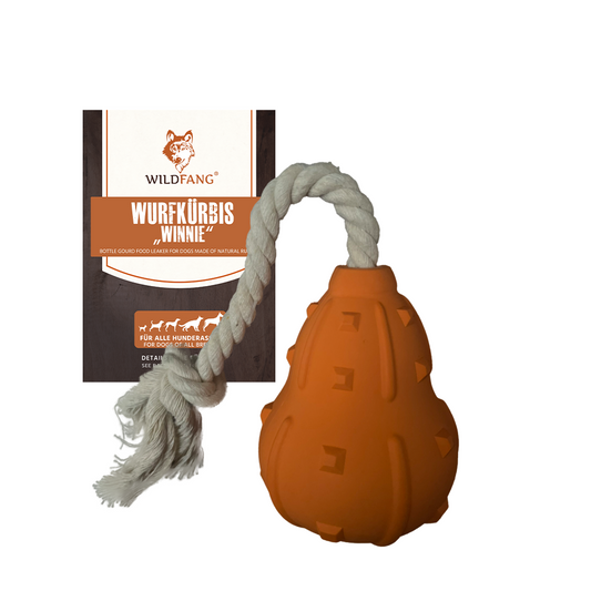 Chew toy throwing pumpkin "Winnie" - 100% natural rubber