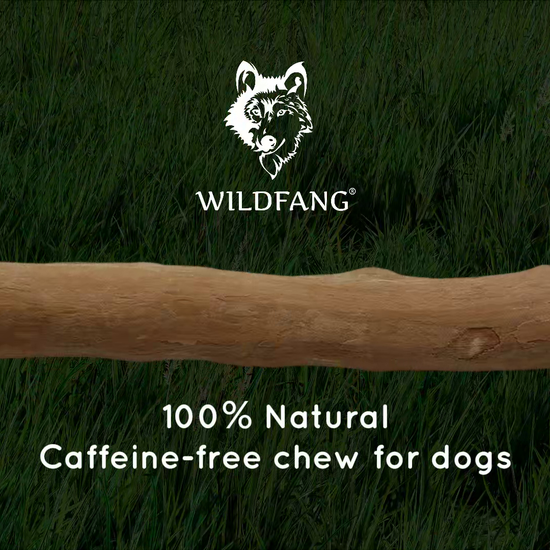 Coffee wood chew stick for dogs