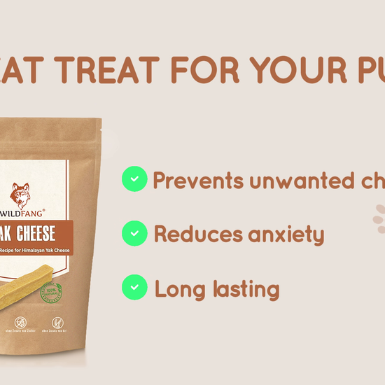 Yak Cheese chewing bone for dogs